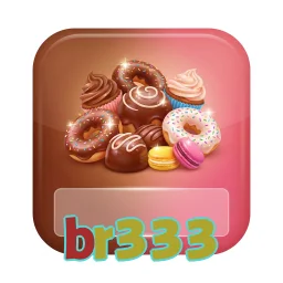 br333